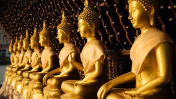 View Cruise2028 No-Fly Grand World VoyageDeal