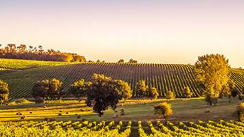 View Cruise2026 Portugal, Spain & France Business Class Flight SaleDeal