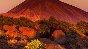 View Cruise2025 No-Fly Canary IslandsDeal