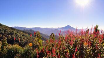 View CruiseSouth America : Cabo & TrujilloDeal