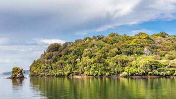 View CruiseAuckland to MelbourneDeal