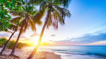 View Cruise2027 Ultra-Luxury All-Inclusive Caribbean DelightsDeal