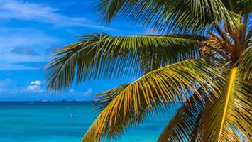 View CruiseWestern Caribbean with Grand CaymanDeal