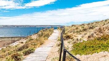 View CruiseWild South Atlantic & Falkland IslandsDeal