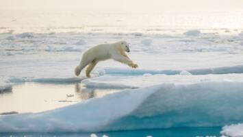 View Cruise2026 All-Inclusive Svalbard in Summer & Midnight Sun ExpeditionDeal