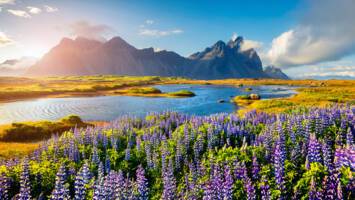 View Cruise2026 All-Inclusive Ultra-Luxury Iceland & Greenland ExpeditionDeal