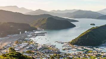 View CruiseNew Zealand Intensive Cruise: Auckland, Dunedin & KaikouraDeal