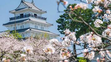 View CruiseCircle JapanDeal