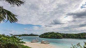 View Cruise12 Night Best Of Japan CruiseDeal