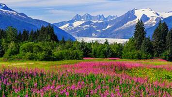 View CruiseVoyage of the Glaciers with Glacier Bay (SouthbounDeal