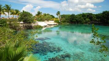 View CruiseCaribbean: Harvest Caye, Cozumel & RoatanDeal