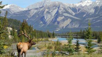 View CruiseExclusive 2027 Japan to Alaska Cruise & StayDeal