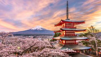 View Cruise2029 Ultra-Luxury Cherry Blossoms, Pacific Passage & Glacier BayDeal