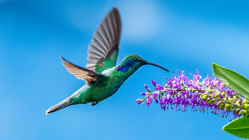 View Cruise5★ Maiden 2027 Mexico, Central America & the Panama CanalDeal