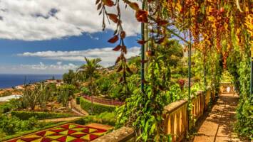 View Cruise2027/28 No-Fly Canary Islands Christmas & Funchal FireworksDeal