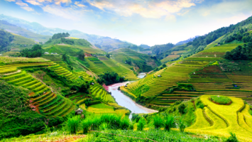 View Cruise2025 5★ Singapore, Indonesia & AustraliaDeal