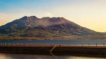 View CruiseJapan Explorer Spring FlowersDeal