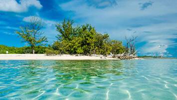 View CruiseSoutheast Coast & BahamasDeal