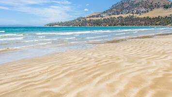 View CruiseAuckland to SydneyDeal