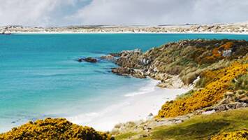 View CruiseRio de Janeiro to Santiago de ChileDeal