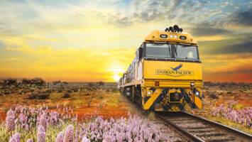 View Cruise2026/27 Festive Australian Exploration By Land, Rail & SeaDeal