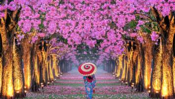 View Cruise6★ All-Inclusive 2028 Springtime Wonders of JapanDeal