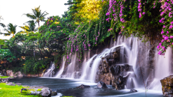 View CruiseExclusive 2027 Vancouver & Highlights of Hawaii Cruise & StayDeal
