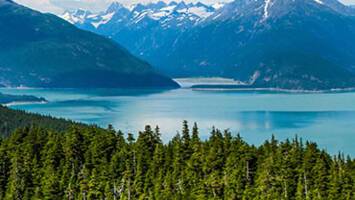 View CruiseAlaska Cruise: Ketchikan, Hubbard Glacier & ValdezDeal