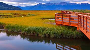View CruiseAlaska Roundtrip Collectors' VoyageDeal