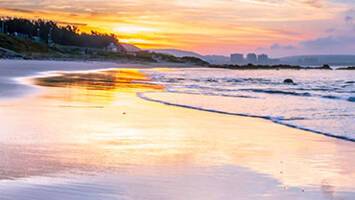 View CruiseAfrica: South Africa & MadagascarDeal