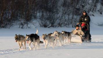 View Cruise2026 Northern Lights, Finland to Norway Ft. LaplandDeal