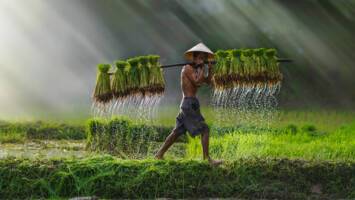 View Cruise2028 6★ All-Inclusive Grand World VoyageDeal