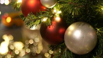 View Cruise2026 No-Fly German Christmas MarketsDeal