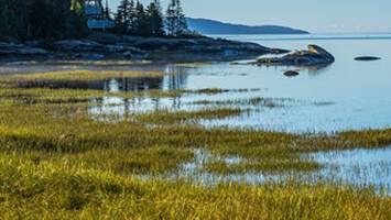 View CruiseIceland, Greenland & Canada Cruise: Reykjavik, Qaqortoq & Quebec CityDeal