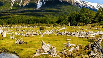 View CruiseAntarctica in DepthDeal