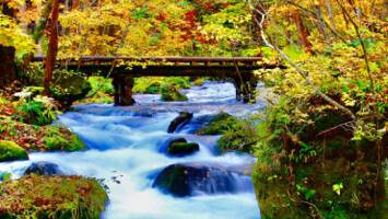 View CruiseVancouver to TokyoDeal