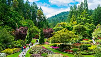 View CruisePacific Coastal CruiseDeal