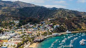 View CruisePacific Wine CountryDeal