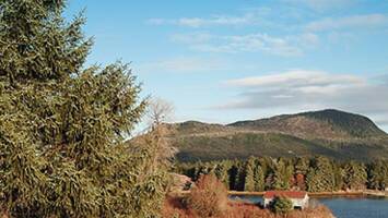 View CruiseAlaska’s Inside PassageDeal