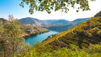 View Cruise2026 5★ Highlights of the Douro Valley & Salamanca River CruiseDeal