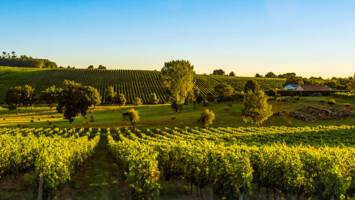 View CruiseBrilliant Bordeaux - Bordeaux to BordeauxDeal