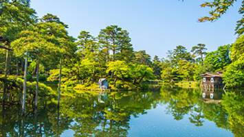 View CruiseCircle Japan Cherry BlossomsDeal