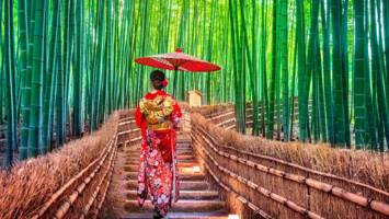 View CruiseExclusive 2027 5★ Hong Kong & Tropics of JapanDeal