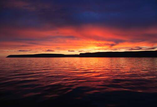 Prince Leopold Island, Nunavut, Canada
