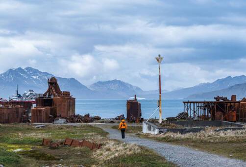 Grytviken