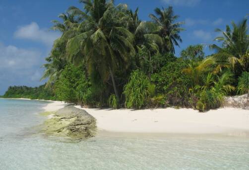 Isla Robinson Crusoe