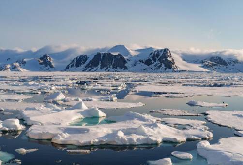 Arctic