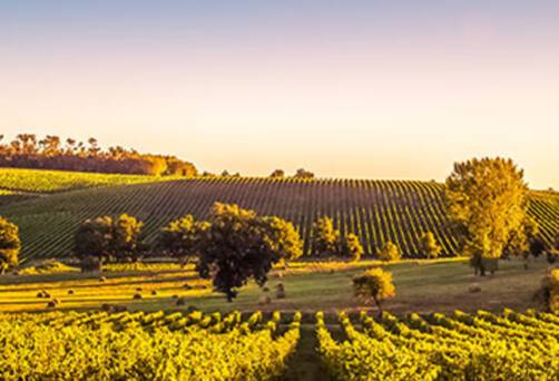 Garonne River Cruises