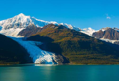 College Fjord, Columbia Glacier