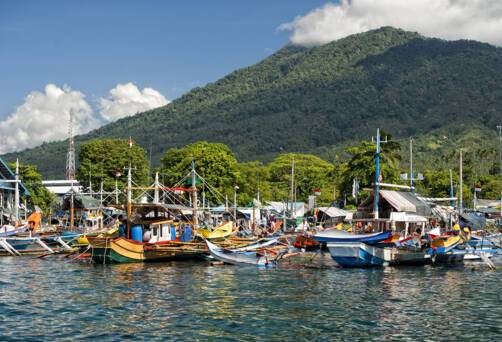 Fishing boats in Bitung